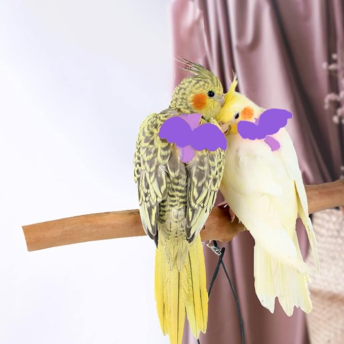 Dnoifne Pet Parrot Bird Harness and Leash, Adjustable Training Design Anti-Bite, Bird Nylon Rope with Cute Wing for Parrots, Suitable for Scarlet, Keck, Mini Macaw and Same Size Birds (Light Purple)