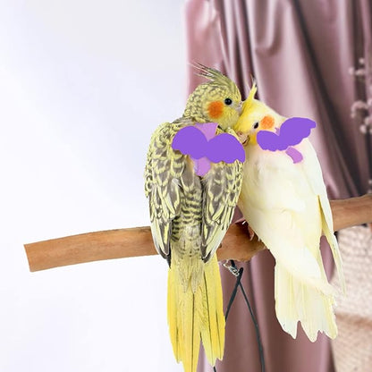 Dnoifne Pet Parrot Bird Harness and Leash, Adjustable Training Design Anti-Bite, Bird Nylon Rope with Cute Wing for Parrots, Suitable for Scarlet, Keck, Mini Macaw and Same Size Birds (Light Purple)