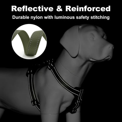 Plutus Pet Adjustable No Pull Dog Harness with Leather Accents, Heavy Duty Reflective Nylon Vest for Training, Hiking, Easy Walk Harness for Small, Medium, Large Dogs (Ranger Green, XL)