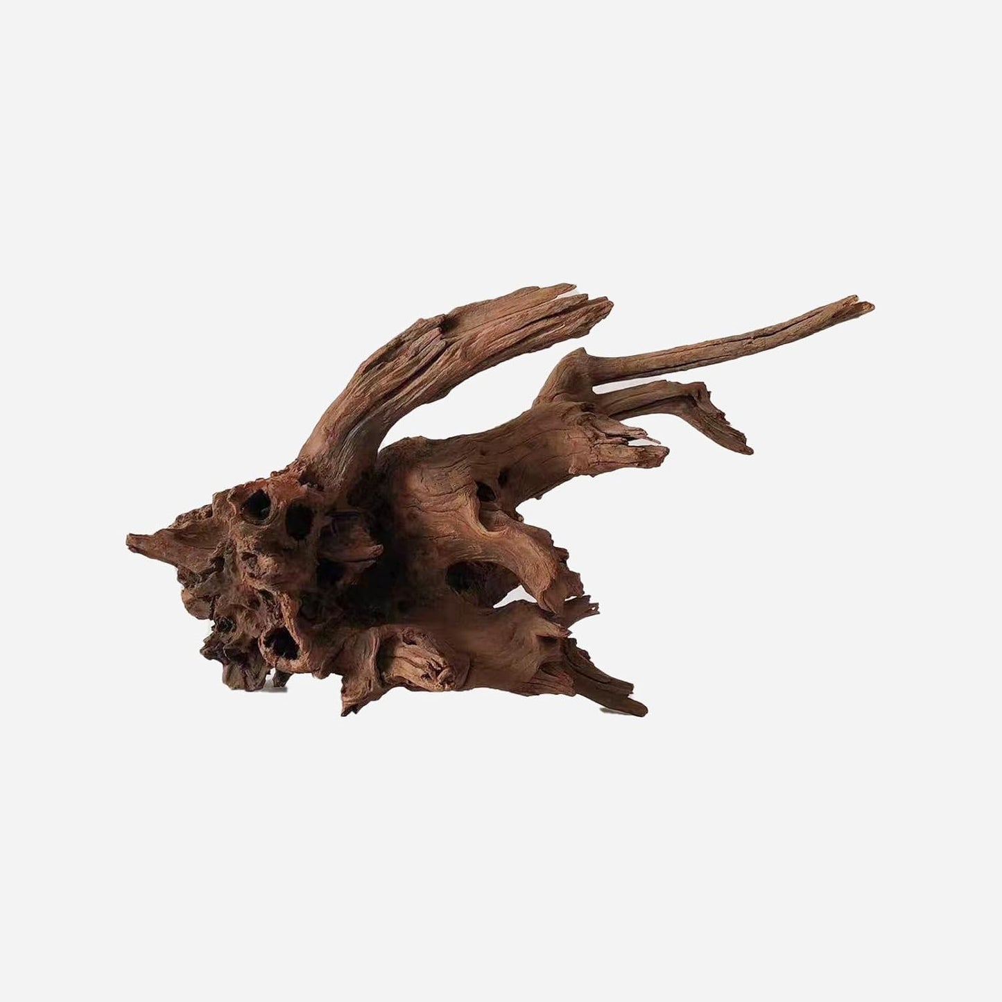 LYPHARD AQUARIUMS Natural Driftwood for Aquarium Decor, L18.9×W8.66×H9.84 Inches Large Drift Wood Decorations for Reptile Hide, Fish Tank, Optional Shapes