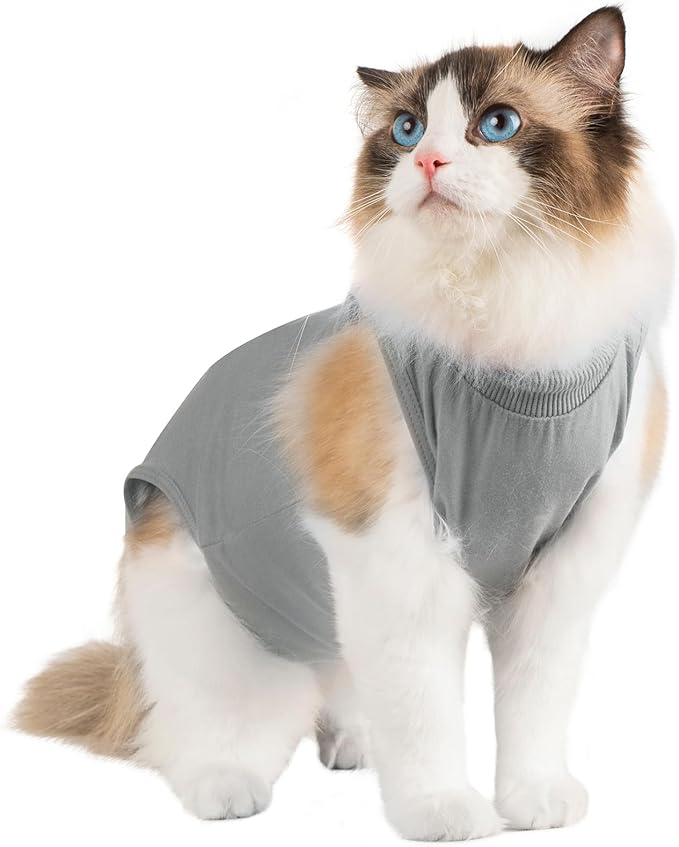 Avont Cat Recovery Suit Post-Surgery Onesie, Breathable Cone-of-Shame Alternative Bodysuit for Spayed Female Kittens, Skin Abdonminal Wound Care -Grey(M)