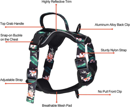 Petmolico Dog Harness for Small Dogs, Cute Harness Vest with Two Leash Clips and Soft Handle, Reflective Easy Walk Puppy Vest - Black Lotus, Small