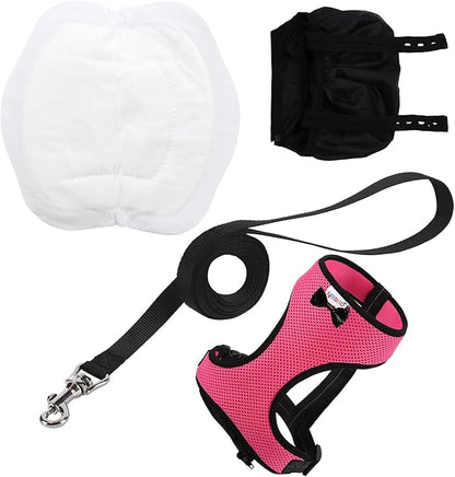 Adjustable Chicken Harness Diaper (5.4ft Leash) – Breathable & Washable Secure Training for Hens, Ducks & Chicks | Outdoor Walking & Discipline Solution Pink