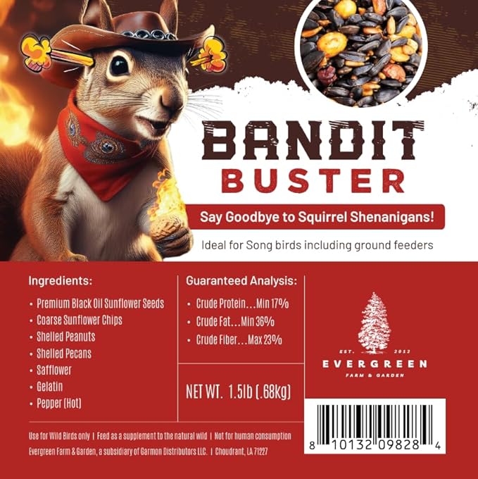 Birdseed Cylinders with Hole - Bird Seed for Outside Wild Birds (Small Cylinder, Bandit Buster 4pc)