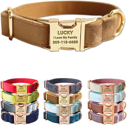 PETDURO Custom Dog Collar Personalized with Name Engraved Gold Metal Buckle for Large Medium Small Dogs - Dog Leash and Bow Tie Available - Soft Thick Velvet (Camel RG, M)