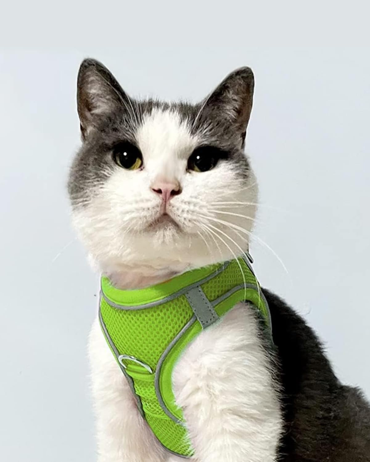 Joytale Small Dog Harness, Breathable Mesh Step-in Vest, Reflective Soft Padded Harnesses for Cats, Puppies and Extra Small Dogs, Green, XXS