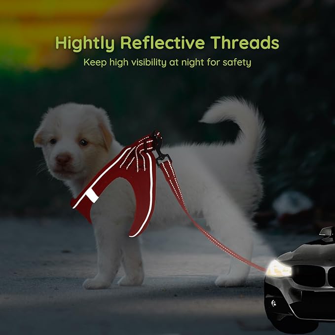 BELLA & PAL Step in Vest Harness for Small and Medium Dogs, No Pull Small Dog Harness with Leash Set, Comfortable Air Mesh Dog Vest Harness with Reflective Strip (Red, XXS)