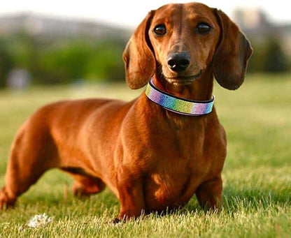 Rhinestone Dog Collar, Cute Dazzling Sparkling Soft Suede Leather Adjustable Pet Dog Cat Collar Crystal Diamond for Puppy Small Medium Large Dogs (L:38-46cm, Black-2)