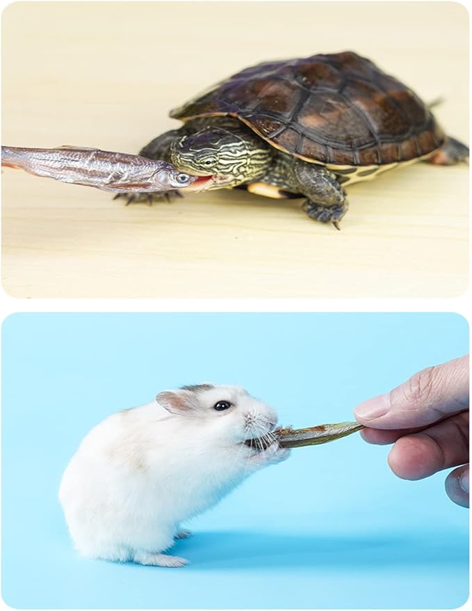 7 OZ Dried River Fish - 100% Natural Food for Turtles, Terrapins, Cats, Reptiles, Large Tropicals,Rodents