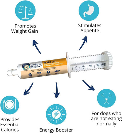 Under the Weather Pet | Ready Cal for Dogs 100cc | High Calorie Supplement | Weight Gainer and High Calorie Booster | 10 Vitamins, 7 Minerals & Omega Fatty Acids