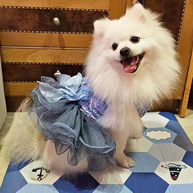 ANIAC Blue Cat Wedding Dress with Bow Knot Dog Wedding Outfit Formal Puppy Clothes for Girl Small Dog Luxury Pet Party Dress for Kitten Chihuahua Yorkie Pomeranian (Blue-2, Large)