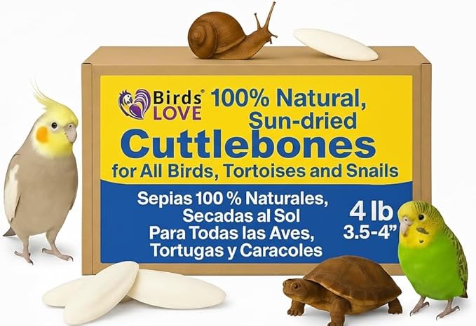 Birds LOVE Natural Cuttlebone – Premium Calcium for Cockatiel, Parrots, Tortoise, Snails, Crabs and Chinchillas - Pure Cuttlebone for Birds - Parakeet Food and Bird Treats - 4lb, Size 3.5 to 4"