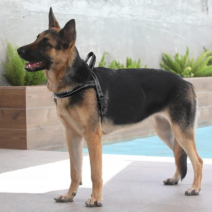 Plutus Pet No Pull Dog Harness with Breathable Mesh Padded, Adjustable Reflective Escape Proof Dog Harness, Quick Fit Dog Vest Harness for Small Medium Large Dogs(L, Black)