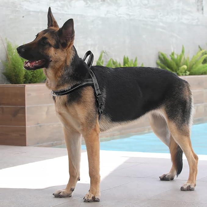 Plutus Pet No Pull Dog Harness with Breathable Mesh Padded, Adjustable Reflective Escape Proof Dog Harness, Quick Fit Dog Vest Harness for Small Medium Large Dogs(XL, Black)