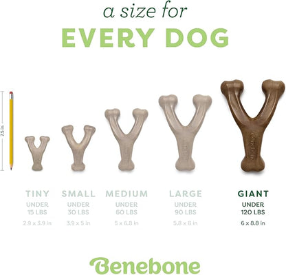 Benebone Wishbone Durable Dog Chew Toy for Aggressive Chewers, Real Chicken, Made in USA, Giant