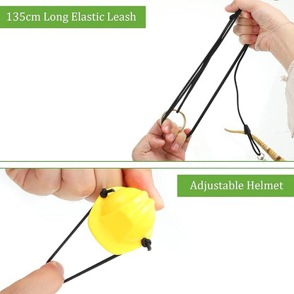 Chivao 5 Pieces Bearded Dragon Accessories Toy Set Bearded Dragon Leashes and Harnesses S/M/L 3 Size Packed Lizard Harness Mini Scooter Lizard Helmet Hats Adjustable Leash(Black)