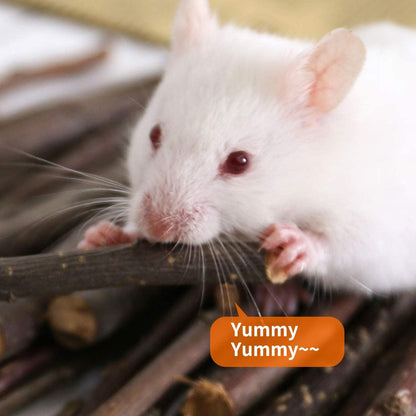 Natural Apple Sticks, 100g Treats Food for Small Animals, Chew Toys for Chinchilla Guinea Pigs Rabbit Squirrel Hamster Bunny (100g)