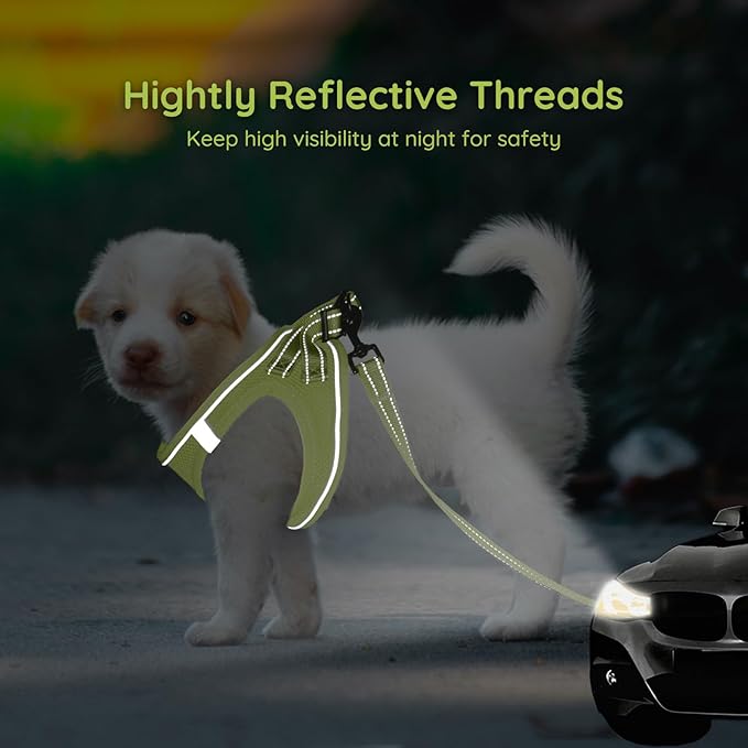 BELLA & PAL Step in Vest Harness for Small and Medium Dogs, No Pull Small Dog Harness with Leash Set, Comfortable Air Mesh Dog Vest Harness with Reflective Strip (Avocado Green, M)