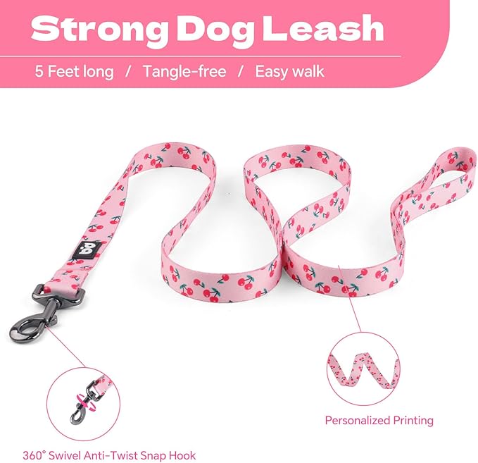 QQPETS Dog Harness Leash Set Adjustable Heavy Duty No Pull Halter Harnesses for Small Medium Large Breed Dogs Back Clip Anti-Twist Perfect for Walking (M(19"-26" Chest Girth), Sakura Pink)