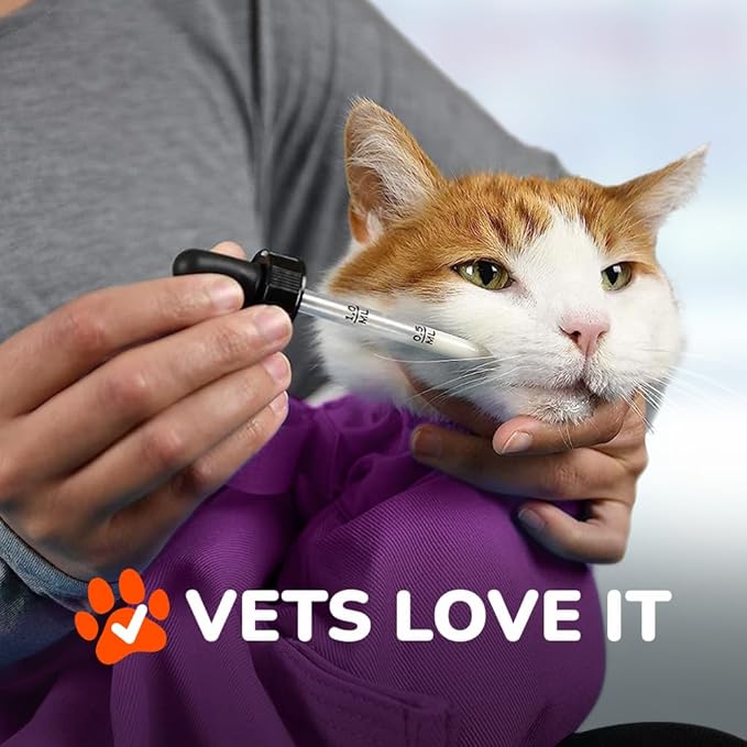 Cat-in-the-Bag Cozy Comfort Carrier - Extra Large Lavender Pet Carrier and Cat Carrier Soft for Grooming, Vet Visits, Medication Administration, Dental Care, and Nail Trimming