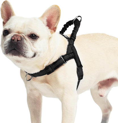 PUPTECK No Pull Dog Harness Small Sized Dog, Adjustable Reflective Pet Vest Harness with Bungee Handle, Escape Proof No Choke Harness for Small Dogs Walking Training, Black S
