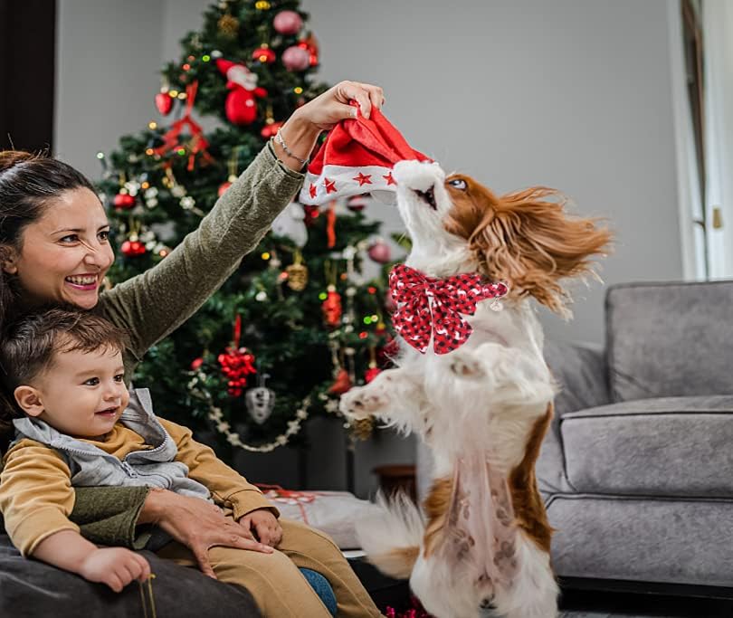 DOGWONG Christmas Dog Collar with Sailor Bow, Red Plaid Deer Dog Collar Soft Durable Adjustable Cotton Puppy Collar for Small Medium Large Dog