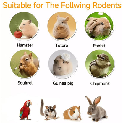 Pleasantly Warm Tropical Fruit & Nut Mix - 10oz Chinchilla Food, Suitable for Rabbits, Guinea Pigs, Sugar Gliders & Small Herbivores