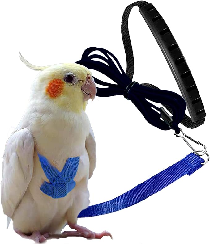 Dnoifne Parrot Harness and Leash, Adjustable Training Design Anti-Bite, Nylon Rope with Cute Wing for Parrots, Suitable for Alexandrine, Scarlet, Keck, Mini Macaw & Same Size Bird (Blue)