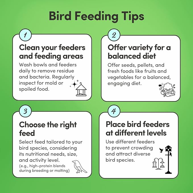 Mycelium Conure Feed (5 LB Bag) | Certified Organic, Non‑GMO Conure Food | Natural, Filler‑Free Bird Seed with Hulled Grains | Supports Brain, Heart & Digestive Health | Made in USA