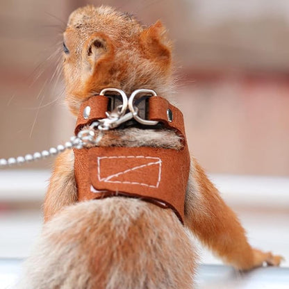 3PC Bearded Dragon Harness Leash Set Adjustable Soft Suede Leather Vest Harness with Traction Rope Outdoor Walking Escape-Proof for Reptile Lizard Squirrel Ferret (Brown)