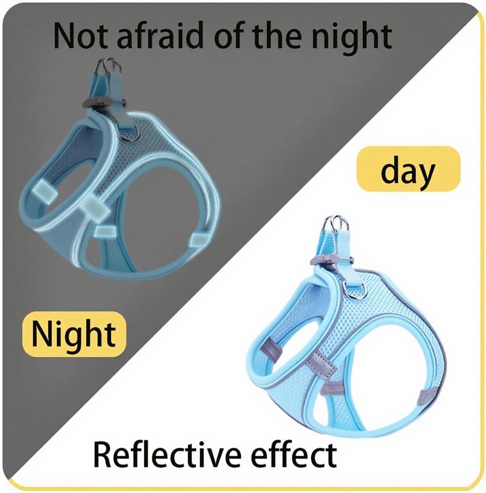 No Pull Dog Harness with Leash Set - Adjustable Reflective Step-in Puppy Vest for Small Medium Dogs & Cats, Blue M - Escape Proof Soft Mesh Comfort Harness for Walking, Choke Free Pet Safety