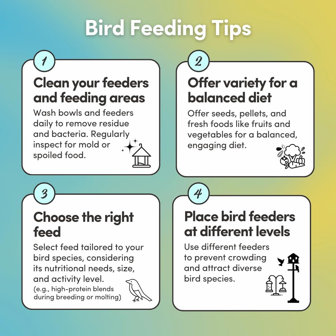 Mycelium Organic Macaw & Cockatoo Plus Bird Food (5 LBS) | High-Protein Bird Seed for Large Birds | Vitamin-Enriched Daily Nutrition | Skin & Feather Support | Non-GMO & USA Made