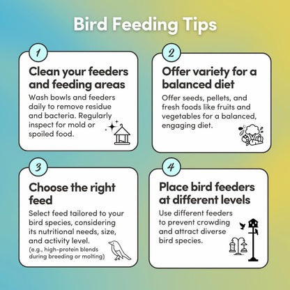 Mycelium Organic Macaw & Cockatoo Plus Bird Food (5 LBS) | High-Protein Bird Seed for Large Birds | Vitamin-Enriched Daily Nutrition | Skin & Feather Support | Non-GMO & USA Made