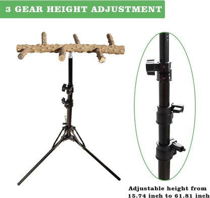 Wooden Bird Perch Stand with a Height Adjustable Tripod, Bird Training Accessories for Indoor or Outdoor, Birds Stand for African Grey, Budgies, Cockatiels, Lovebirds, Conures, Small to Medium Birds