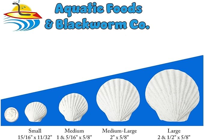 Aquatic Foods Inc. Calcium Feeder Small & Medium Shells. Extra Thick Shells for Shrimp, Snails, Crabs, Crayfish, Hermit Crabs and All Tropical Fish. 4oz …26 Count Bag