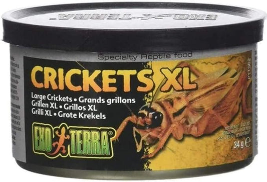Exo Terra Specialty Reptile Food, Canned XL Crickets for Reptiles, PT1962
