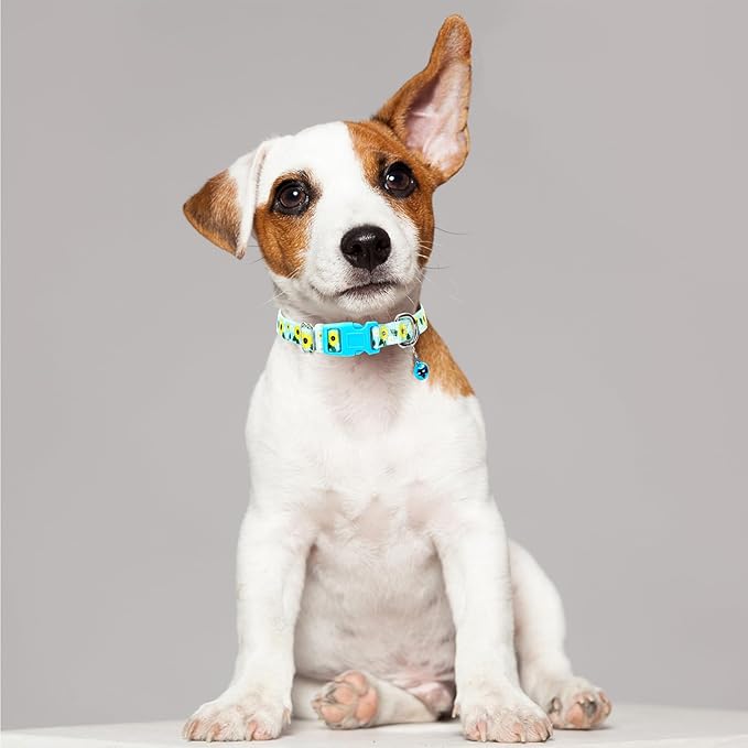 Sunflower Small Dog Collar with Bell, Soft Adjustable Bull Sunflower Puppy Collar Tiny Cat Collars with Bells for XS Small Girl and boy Dogs Little Animal,S