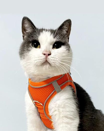 Joytale Small Dog Harness, Breathable Mesh Step-in Vest, Reflective Soft Padded Harnesses for Cats, Puppies and Extra Small Dogs, Orange, XXS