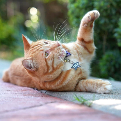 Ultra Joys Cat ID Tag Personalized Pet Tags, Durable Stainless Steel Small Pet Mini Dog Cat Tag Lightweight - Star Tag in Black