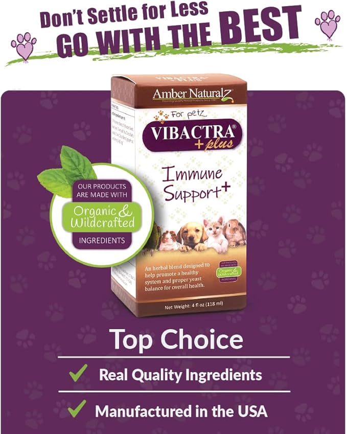 Amber NaturalZ Vibactra Plus Herbal Supplement for Dogs, Cats, Birds, Guinea Pigs, and Rabbits | Herbs for Immune Health and Yeast Balance | 4 Fluid Ounce Glass Bottle