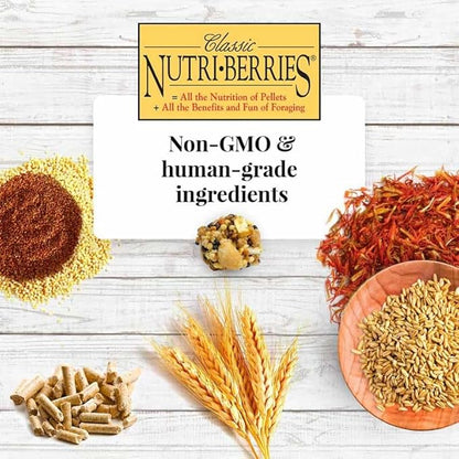 LAFEBER'S Classic Nutri-Berries Pet Bird Food, Made with Non-GMO and Human-Grade Ingredients, for Parrots, 14 lb