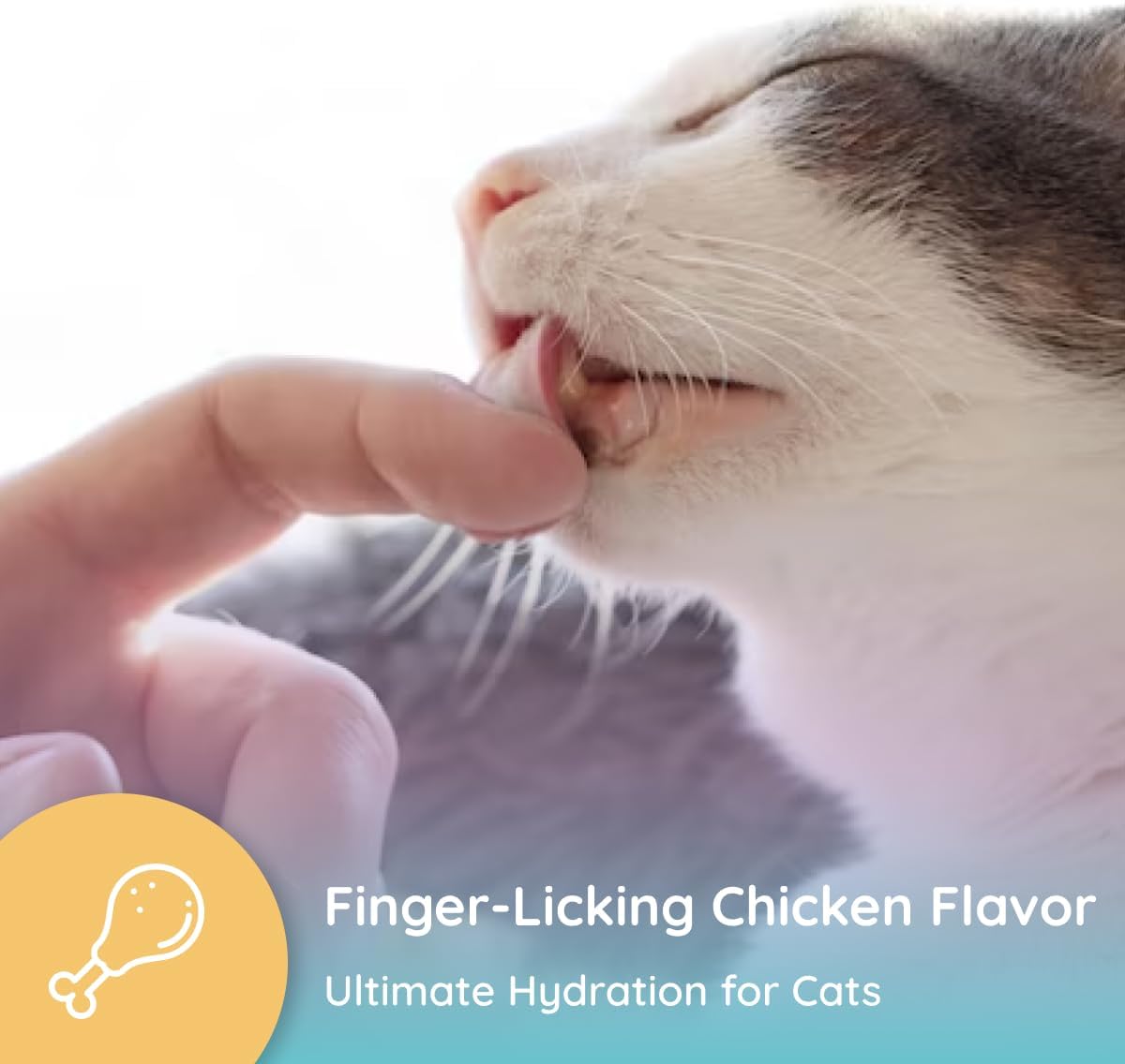 Petralyte Cat Hydration Electrolyte and Cat Joint Supplement | Hydration Support for Cats w/Glucosamine, Chondroitin, L-Glutamine, Taurine, Lysine & Prebiotics | for Chicken Lovers | 16 Packets