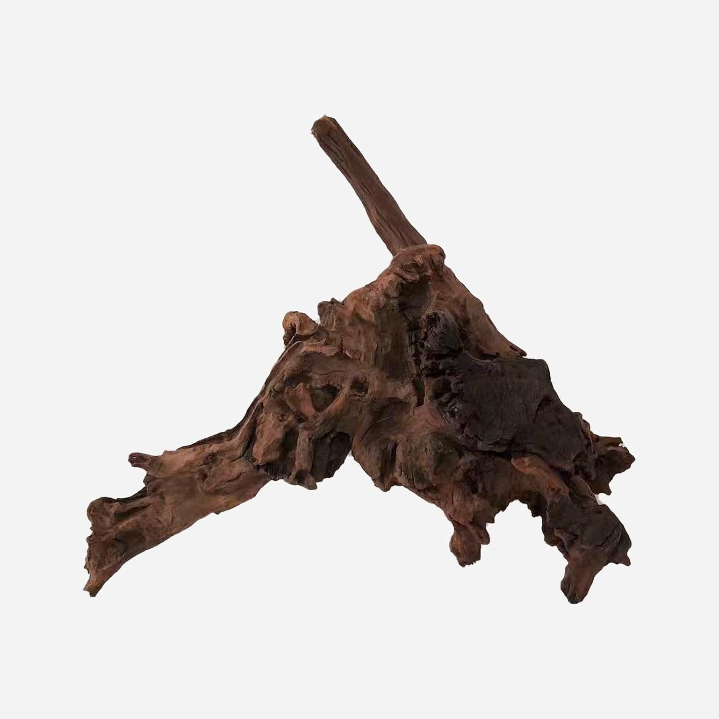 LYPHARD AQUARIUMS Natural Driftwood for Aquarium Decor, L15.75×W6.3×H14.17 Inches Large Drift Wood Decorations for Reptile Hide, Fish Tank, Optional Shapes