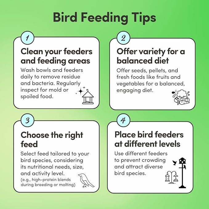 Mycelium Cockatiel & Parrotlet Plus Bird Seed (5 LB Bag) | Organic Pet Bird Food w/Fruits, Veggies & Pellets | Vitamin-Enriched Complete Daily Blend | Non-GMO, No Fillers, Made in USA