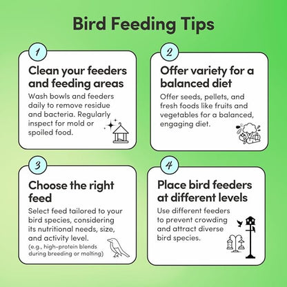 Mycelium Cockatiel & Parrotlet Plus Bird Seed (5 LB Bag) | Organic Pet Bird Food w/Fruits, Veggies & Pellets | Vitamin-Enriched Complete Daily Blend | Non-GMO, No Fillers, Made in USA