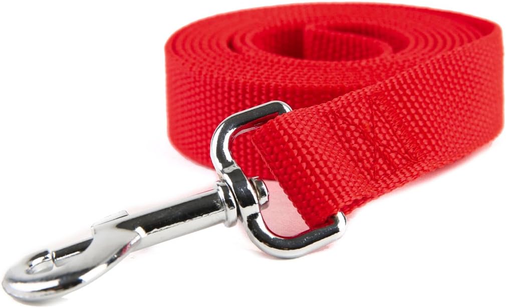 Nylon Dog Training Leash, Traction Rope, 4/5/6 Feet Long, 3/4 Inch 1 Inch Wide, for Small and Medium Dogs (1'' x 4 FT, Red)