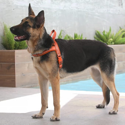 Plutus Pet No Pull Dog Harness with Breathable Mesh Padded, Adjustable Reflective Escape Proof Dog Harness, Quick Fit Dog Vest Harness for Small Medium Large Dogs(L, Orange)