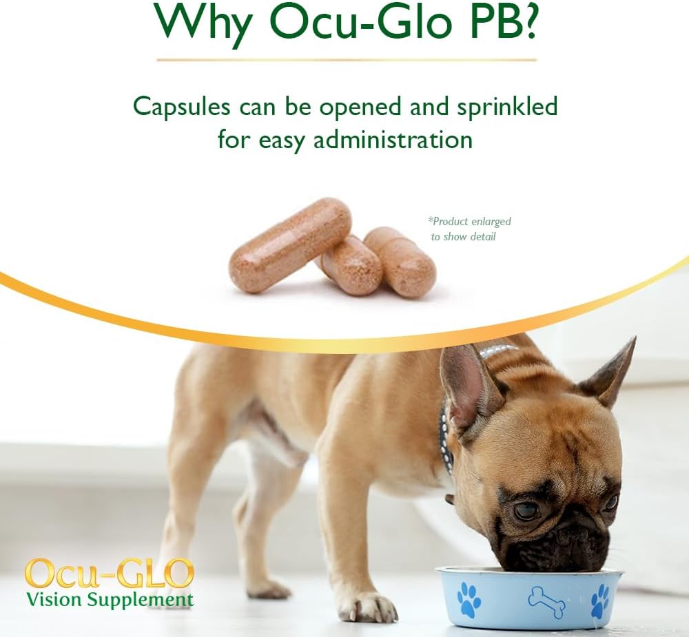Ocu-GLO PB Vision Supplement for Medium & Large Dogs – Easy to Administer Powder Blend with Lutein, Omega-3 Fatty Acids, Grape Seed Extract & Antioxidants to Promote Eye Health, 90ct Powder Capsules