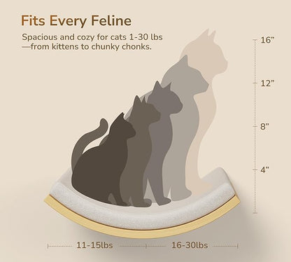 Cat Wall Shelf & Window Perch Combo, Wood Cats Wall Furniture with Soft Foam Curved Bed and Felt-Padded Steps, 4-Piece Floating Cat Climbing System