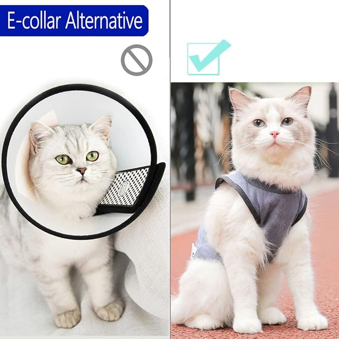 Cat Surgery Recovery Suit Cat Onesie for Cats After Surgery Spay Surgical Abdominal Wound Skin Diseases E-Collar Alternative Wear (Grey-Blue-S)